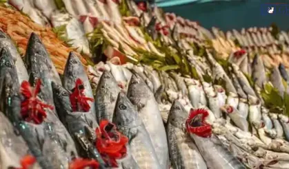 Balık Fiyatlarında Şaşırtan Düşüş: Bolluk Tezgahlara Yansıdı!