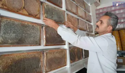 Muş Ovası’nda bal bereketi: 700 ton üretim