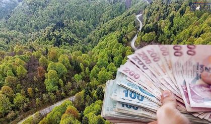 Van ve Hakkâri’de 49 yıllık yatırım fırsatı! Başvurular başladı