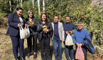 Van'da komünal üretimin ilk meyvesi alındı