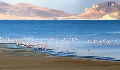 Van ve Erçek Gölleri için iklim seferberliği