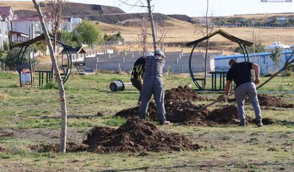 Tuşba Belediyesi’nden Mavi Bayraklı Halk Plajı’nda ağaçlandırma çalışması