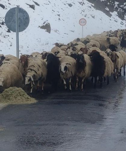 Van'da besicilerin zorlu kış mesaisi başladı