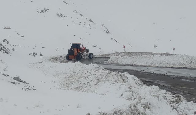 Bahçesaray'da kış erken başladı