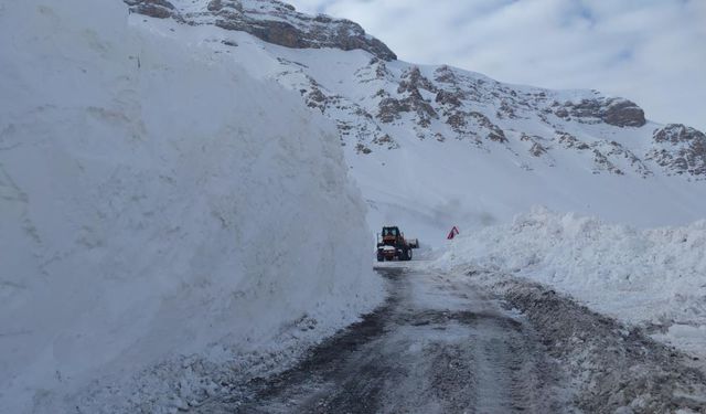 Bahçesaray yoluna düşen çığ bölgeleri temizleniyor