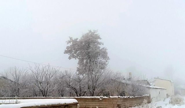 Özalp'ta ağaçlar kırağı tuttu