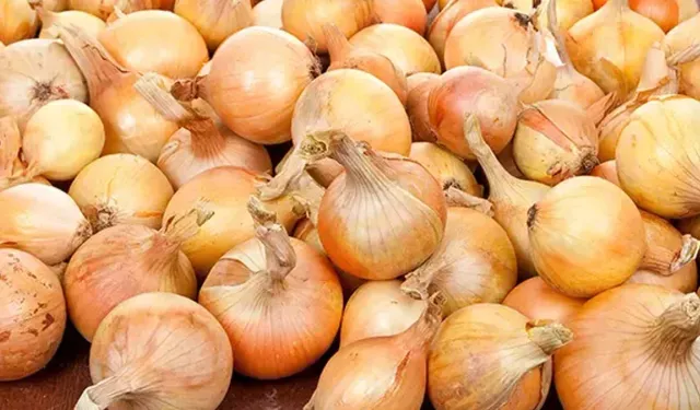 Soğan almadan önce mutlaka kontrol edin!