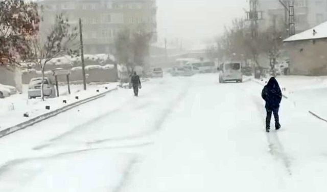 Özalp'ta termometreler eksi 24 dereceyi gördü
