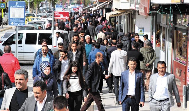 Van'da işsizlik oranı yüzde 16,7 oldu