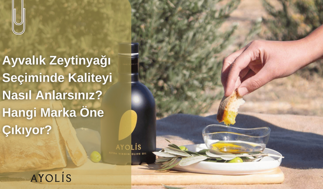 Ayvalık Zeytinyağı Seçiminde Kaliteyi Nasıl Anlarsınız? Hangi Marka Öne Çıkıyor?