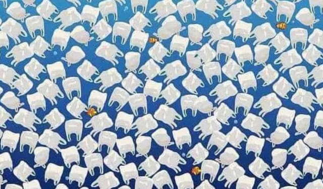 Plastik poşetlerin arasındaki denizanasını bulan, dahi sayılıyor