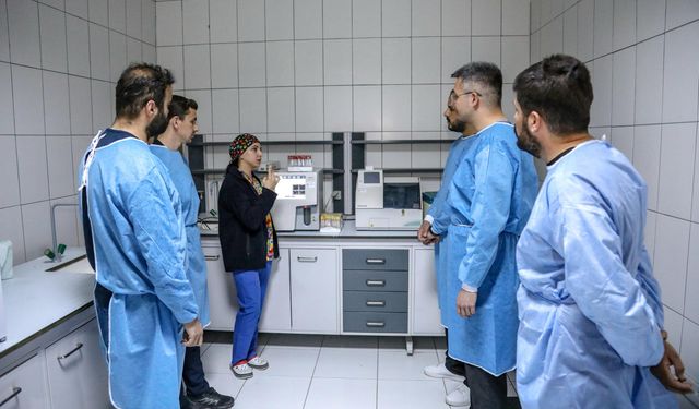 Veteriner fakültesi öğrencilerine uygulamalı eğitim…