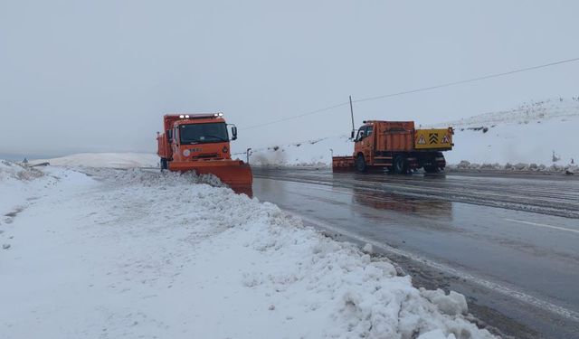 Van'da Nisan karı ulaşımı olumsuz etkiliyor