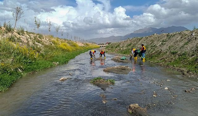 Van balığının göç yolu üzerindeki dereler temizleniyor