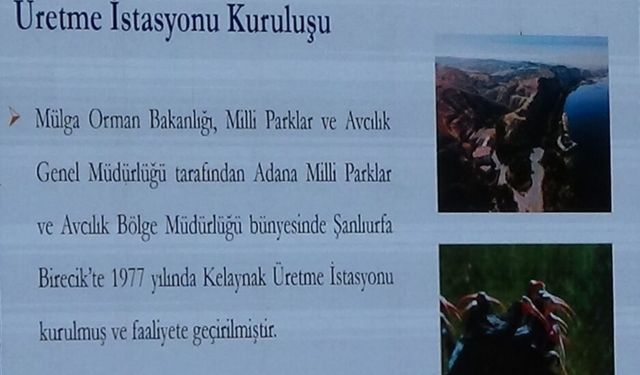 Van YYÜ'de, Ulusal Yaban Hayvanları Kongresi