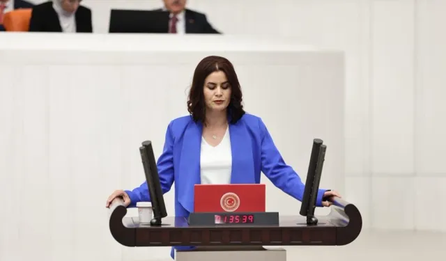 DEM Partili Sayyiğit’ten AİHM Kararı Çağrısı