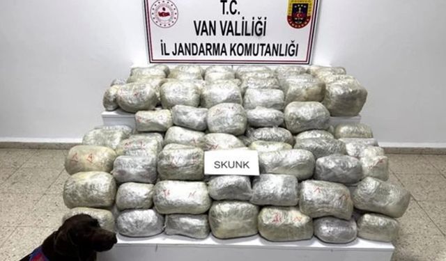 Van’da 70 Kilogram Skunk Ele Geçirildi