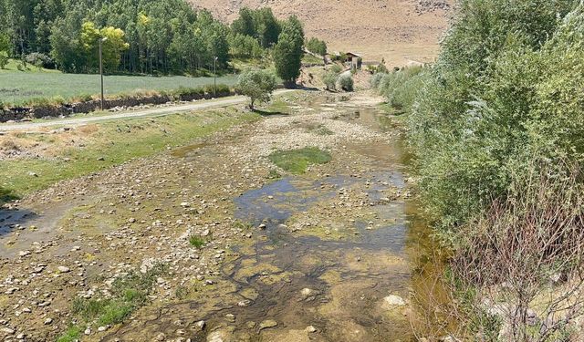 Muradiye Bendimahi Çayı'nda su seviyesi düştü