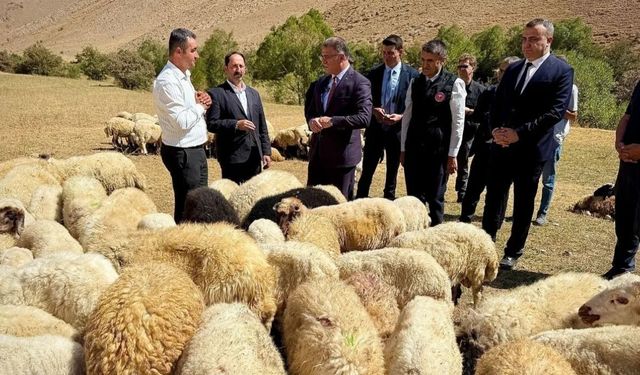 Vali Balcı’dan Gevaş’ta çiftçilere destek ziyareti