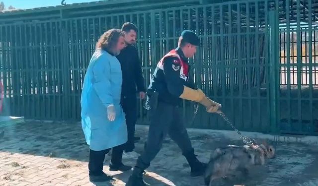 Van’da kurda eziyet eden kişiye 81 bin TL ceza
