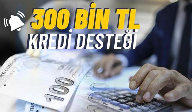 İhtiyacı Olanlara Müjde: 300 Bin TL’ye Kadar Kredi Desteği!