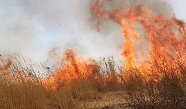 Elazığ'da büyük anız yangını