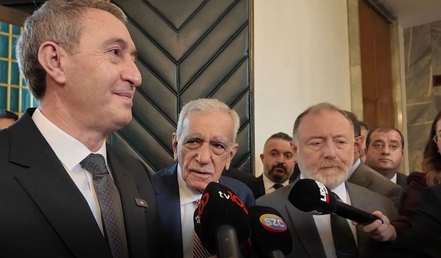 Ahmet Türk, Devlet Bahçeli ile görüşme talebinde bulunacak