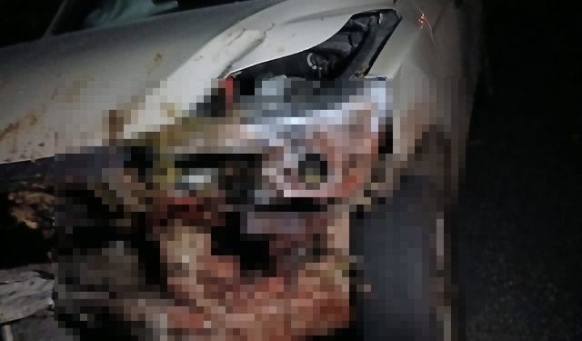 Kamyonet 30 Küçükbaş Hayvanı Telef Etti