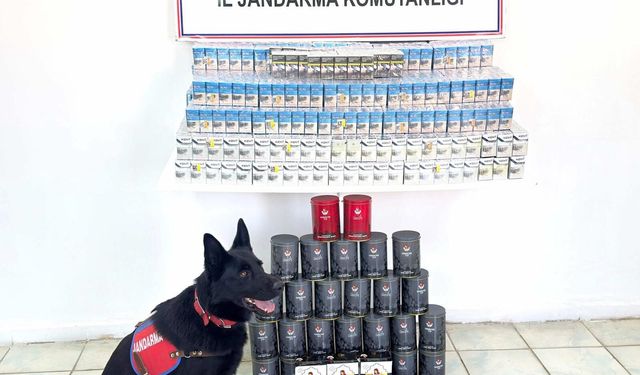 Van’da Kaçak Sigara ve Çay Operasyonu: Jandarma İki Kişiyi Gözaltına Aldı!