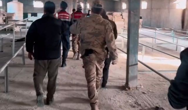 Jandarma Van’da Kızıl Şahin İçin Ev Baskını Düzenledi