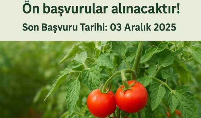 Van Muradiye’de Domates Yetiştiriciliği Projesi İçin Ön Başvurular Başladı