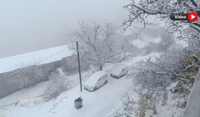 Van’ın Yüksek Kesimlerinde Kar Alarmı: Bahçesaray’da Zorlu Kış Başladı