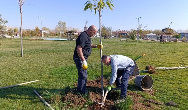 Van Tuşba 15 Temmuz Parkı Yenileniyor: Ağaçlandırma Çalışmaları Başladı