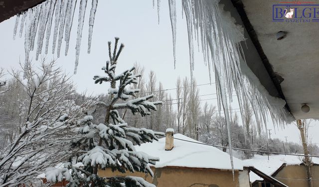 Van’ın En Yüksek İlçesi Başkale’de Soğuk Rekoru