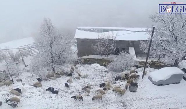 Van Bahçesaray’da Kar Yağışı Hayatı Durdurma Noktasına Getirdi