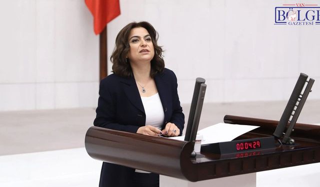 DEM Parti’den “Çerçeve Yasa” Açıklaması