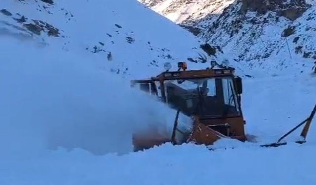 Van’ın Başkale İlçesinde Çığ Nedeniyle Kapanan Yol Açıldı