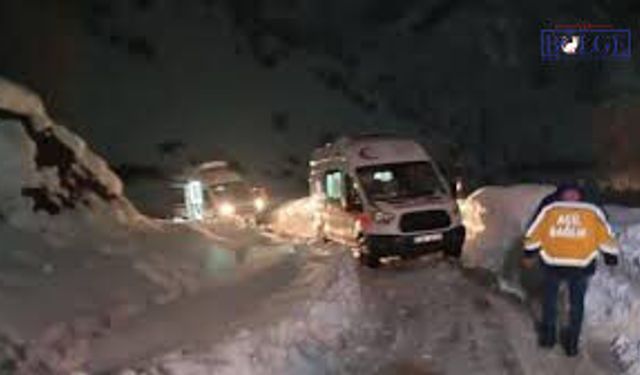 Kar Altında Hayat Mücadelesi: Ulaşılamayan Mezrada 12 Kişi Zehirlendi!