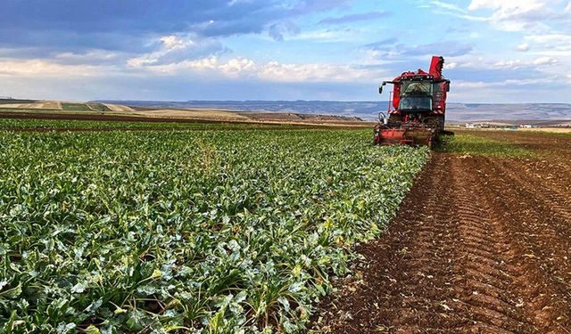 Van’da çiftçilere 4 yılda 750 milyon liralık tohum desteği