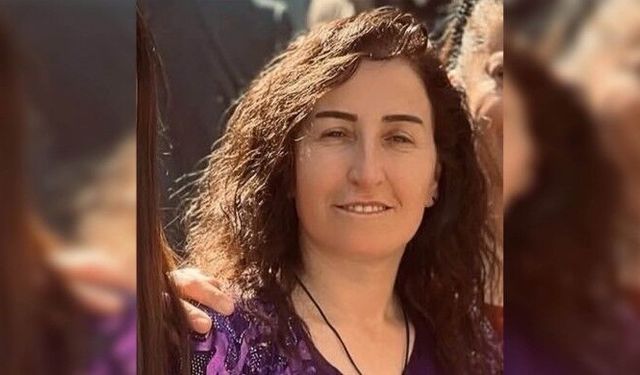 DEM Parti yöneticisi gözaltına alındı