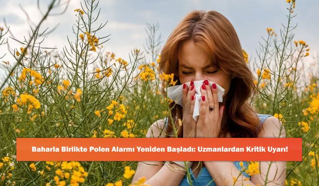 Baharla Birlikte Polen Alarmı Yeniden Başladı: Uzmanlardan Kritik Uyarı!