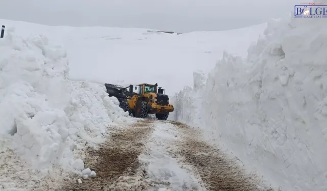 Hakkari'de Nisan Karı Geçit Vermedi: 46 Yerleşim Yerinin Yolu Kapandı