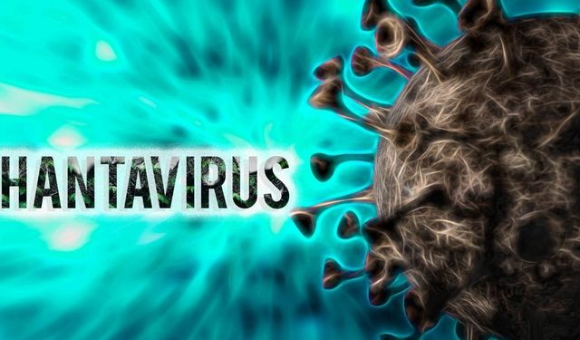 Hantavirüsü Covid gibi pandemi yaratır mı?