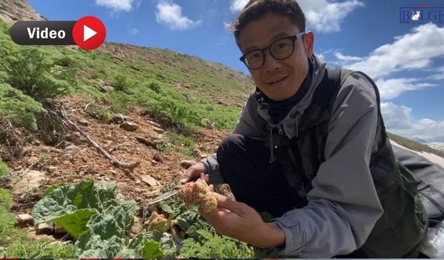 Japonya'dan Hakkari'ye uzanan yolculuk