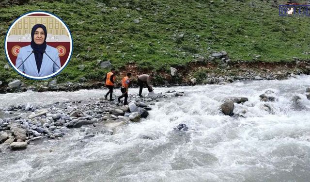 Van ve Bölgede Su Boğulmaları Mecliste: 3 Bakana İletildi