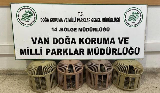 Van'da kaçak avcılığa 51 bin 878 TL ceza