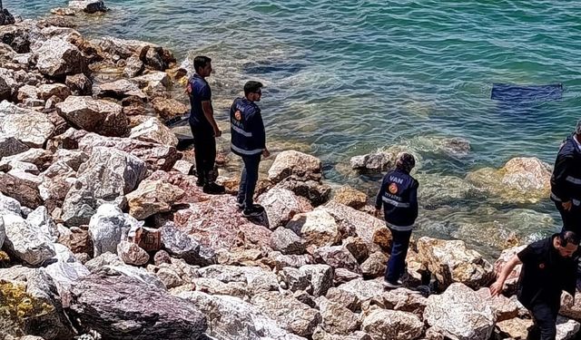 Kontrolden Çıkan Otomobil Van Gölü’ne Uçtu