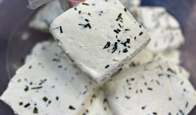 Van Otlu Peynirinde Yeni Dönem! Tüketicinin Talebiyle Tuz Oranı Düşürüldü