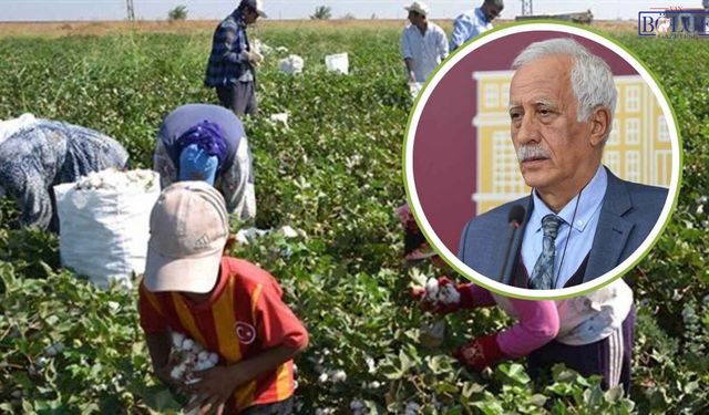 Van Milletvekili Çiftyürek: Tarım İşçilerinin Sorunları Yerinde İncelenecek