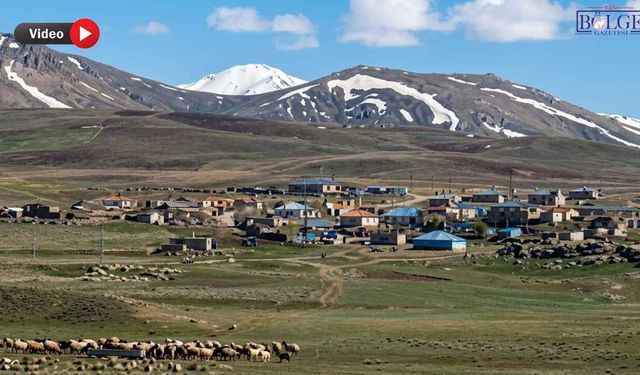 Van'da 80 Haneli Köye Toplu Elektrik Cezası